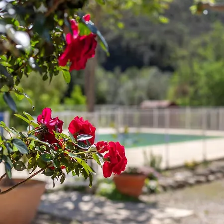 Holiday home 1 Entre 4 Et 6 Personnes *